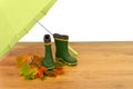 Baby rubber boots umbrella