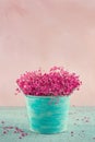 Baby's breath flowers in a blue vase