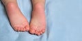 Little barefeet. Baby crawling on bed. Baby`s feet. Barefeeted baby. Children`s feet Royalty Free Stock Photo
