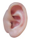 Baby's ear Royalty Free Stock Photo