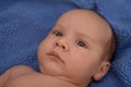 Baby's face on blue blanket