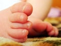 A baby`s feet in the bed