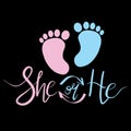 The Baby`s feet are blue and pink. The inscription she or he. Royalty Free Stock Photo