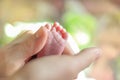 Baby s feet closeup picture. Mother s hands holding child s foot. Little girl s fingers at front Royalty Free Stock Photo