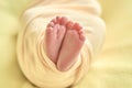 Baby`s feet, fingers close up. newborn baby legs, massage concept of childhood Royalty Free Stock Photo