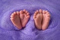 Baby`s feet on a lilac background, twins, place for text, birth of a child. Happy Family concept. Beautiful conceptual image of Royalty Free Stock Photo