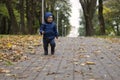 Baby`s first steps. The first independent steps. Toddler on the walk in the autumn park Royalty Free Stock Photo
