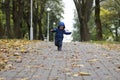 Baby`s first steps. The first independent steps. Toddler running in the autumn park Royalty Free Stock Photo