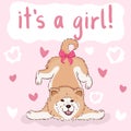 Baby it`s a girl greeting card with furry cute cartoon dog, funny pet akita on pink background with hearts, editable vector Royalty Free Stock Photo