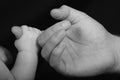 Baby's Hand Royalty Free Stock Photo