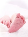 Baby's Hand & Foot Royalty Free Stock Photo