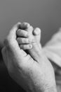 Baby`s hand holding elderly` finger. Close up Royalty Free Stock Photo