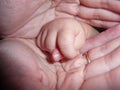 Baby s hand in the mother s palm. Together family Royalty Free Stock Photo