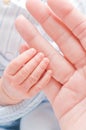 Baby's hands Royalty Free Stock Photo