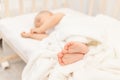 Baby`s legs in focus against the background of a sleeping baby in a white bed, a healthy and calm baby`s sleep Royalty Free Stock Photo