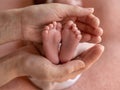 The baby`s legs are in the hands of the mother. Close-up. Heels and toes.
