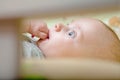 Baby`s restful sleep. Newborn baby in a wooden crib. The baby sleeps in the bedside cradle. Safe living together in a bedside cot Royalty Free Stock Photo