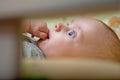 Baby`s restful sleep. Newborn baby in a wooden crib. The baby sleeps in the bedside cradle. Safe living together in a bedside cot Royalty Free Stock Photo