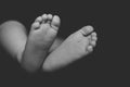 Baby`s small feet