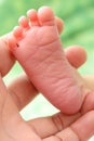 Baby s Small Foot and Dad s Hand