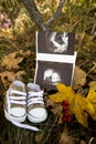 A baby`s ultrasound and shoes