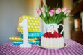 Baby`s very first birthday Royalty Free Stock Photo