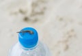 Baby Salamander on Bottle Cap