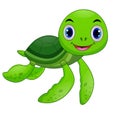 Baby sea turtle cartoon Royalty Free Stock Photo