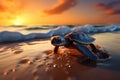 Baby Sea Turtle Heading To Ocean Sunset Ambiance Royalty Free Stock Photo