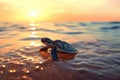 Baby Sea Turtle Heading To Ocean Sunset Ambiance Royalty Free Stock Photo