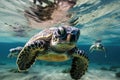 baby sea turtle swimming in the ocean, with its mother in the background Royalty Free Stock Photo