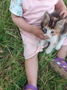 A baby seating on the grass holding a cute kitten