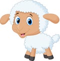 Baby Sheep Cartoon