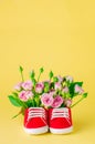 Baby shoes filled with rose flowers on yellow background