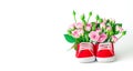 Baby shoes filled with roses flowers over white background