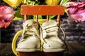 Baby Shoes on Red Rocking Chair Royalty Free Stock Photo