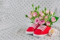 Baby shoes with rose flowers and dummy on grey background Royalty Free Stock Photo