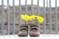 Baby shoes with yellow flowers Royalty Free Stock Photo