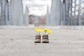 Baby shoes with yellow flowers Royalty Free Stock Photo