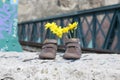 Baby shoes with yellow flowers Royalty Free Stock Photo