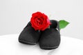 Baby shose with rose Royalty Free Stock Photo