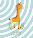 Baby shower card with cute jiraffe Royalty Free Stock Photo