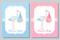 Baby Shower card design. Vector illustration. Birthday template invite Royalty Free Stock Photo