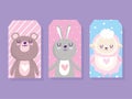 Baby shower, cute little sheep bear and rabbit animals cards cartoon