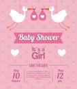 Baby Shower design. stork icon. pink illustration, grap