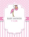 Baby shower girl