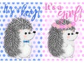 Baby Shower greeting card with babies boy and girl