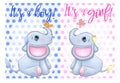 Baby Shower greeting card with Cute Elephant boy and girl Royalty Free Stock Photo