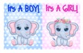 Baby Shower greeting card with Cute Elephant boy and girl Royalty Free Stock Photo