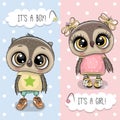 Baby Shower greeting card with Owls boy and girl Royalty Free Stock Photo